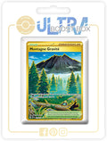 Montagne Gravité (Gravity Mountain) 250/191 Shiny Gold Trainer -  X Écarlate Et Violet 8 - Étincelles Déferlantes Box of 10 Pokemon French Cards